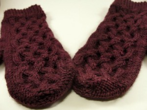 Morgandy Mittens top view